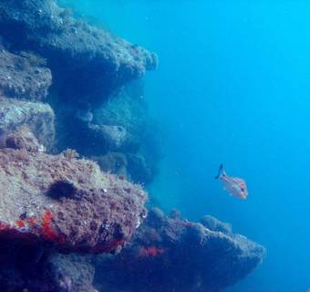 Apartamento Nostro Arcada