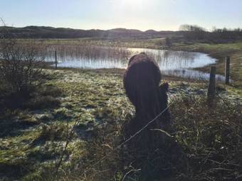 Bed & Breakfast Little Lighthouse Texel