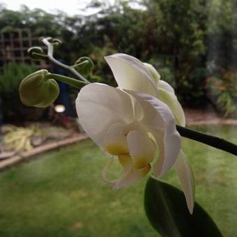 Bed & Breakfast Ramsey House