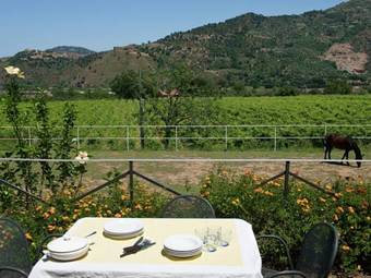 Apartamento I Cipressi