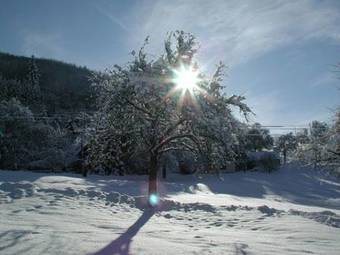 Apartamento Pension Schneider