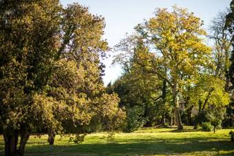 Hotel Domaine De Montjoie