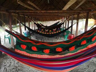 Posada Ecoturistica Palmares Del Rio