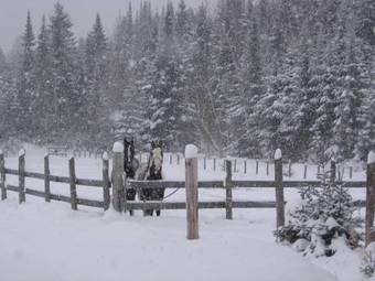 Bed & Breakfast Le G�te Du Gardien Blanc