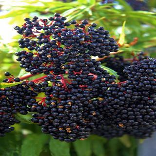 Hotel Rural Las Monteras