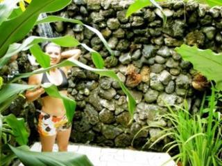 Hotel Paradise Taveuni