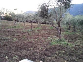 Agroturismo Agriturismo Prisco