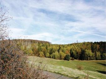 Holiday Home Feriendorf Frankenau A2