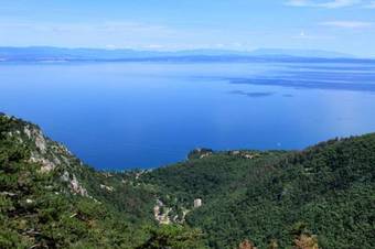 Apartment Medveja 3430b