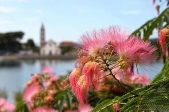 Hostal Double Room Pasman 4309f