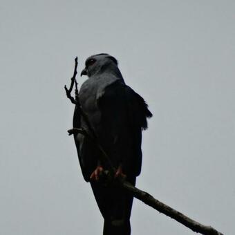 Posada Tur�stica Rocas De Cabo Marzo