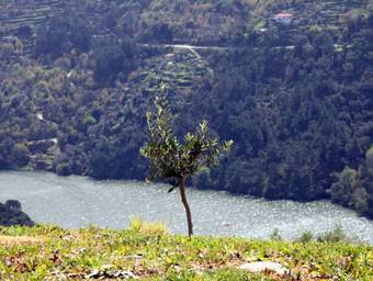 Villa Casa Do Vale De Cerdeiras