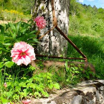 Apartamento La Sauvani�re