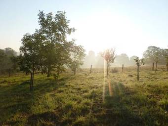 Bed & Breakfast La Bergerie Du Bois Joannin