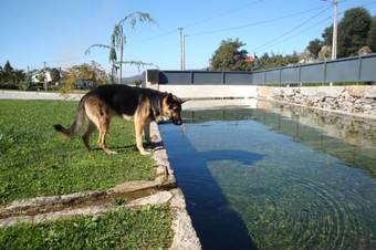 Hostal Casa Do Padreiro