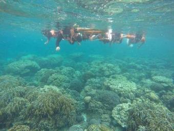 Hostal Country Hut Riverside