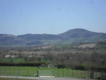 Bluebell At Gaer Fawr