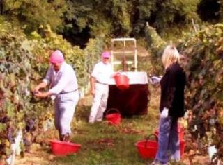 Bed & Breakfast Cascina Bella Vista