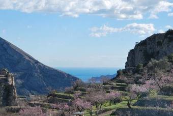 Agroturismo El Almendro Y La Monta�a