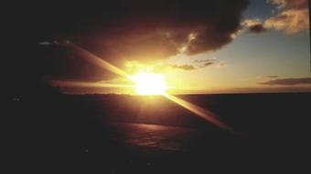 Apartamento De Viool