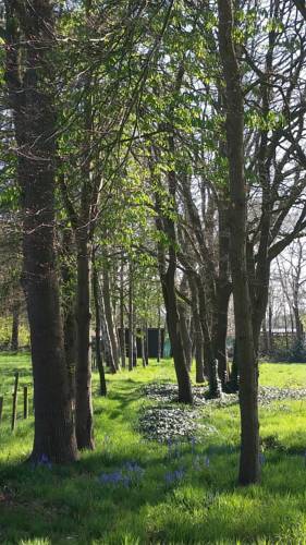 Apartamento Villa Berk En Heide