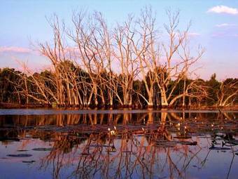 Agroturismo Waterberg Cottages