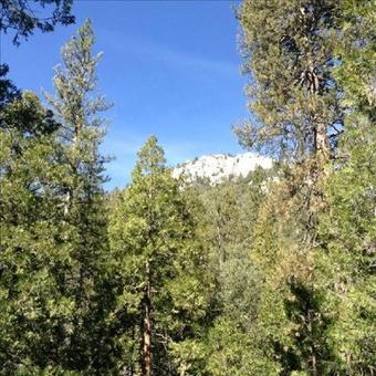 Villa Big Rock Creek Lodge