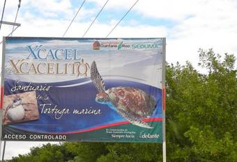 Apartamento Casita Aurora