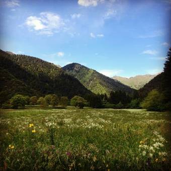 Agroturismo Chalet Al Faggio