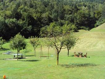 Apartment In Concei/ledrosee 22664