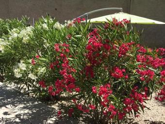 Bed & Breakfast Mas De L'air - Maison De Charme