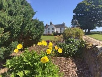 Bed & Breakfast Tarrel House