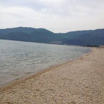 Dolphins House Apartments