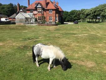 Hostal Sandhill House