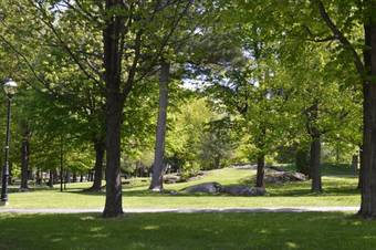 Eco G�te La Maison Collins B&B