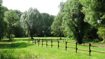 Bed & Breakfast Moulin De Reigner