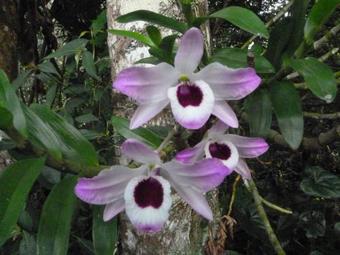 Apartamento Casa Jade