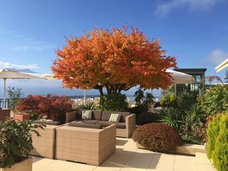 Hotel Le Mirador Kempinski