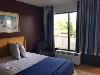 Hotel The Flamingo Resort - Gay Adult Resort