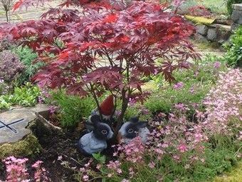 Barnhill House Apartment