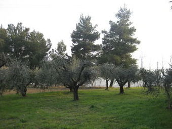 Apartamento Casa Gaia