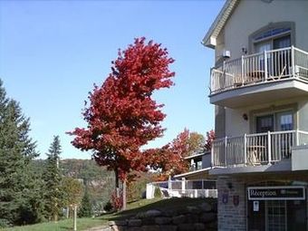 Hotel H�tel St-sauveur
