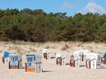 Apartamento Ferienwohnung Waldblick