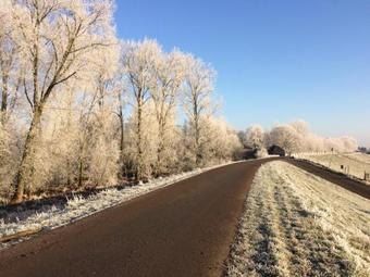 Bed & Breakfast Dreumelse Waard