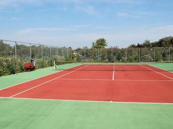 Comfortable Holiday Home In South Holland Near The Forest