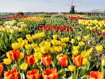 Holiday Home Stern Comfort