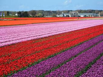 Holiday Home Duinkroft