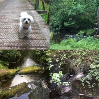 Hotel The Coach House