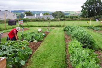 Badgers Cottage At Warleggan