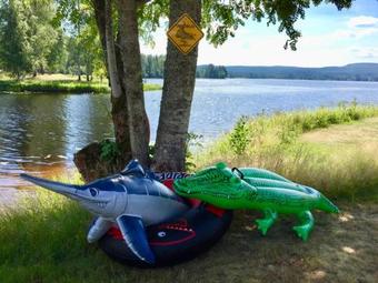 Bed & Breakfast The Lodge - Torsby